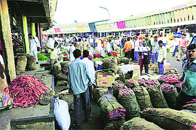 Some 11.84 lakh farmers, 15,434 traders and 13,415 commission agents have been registered under eNAM in the 60 market committees in the state Some 11.84 lakh farmers, 15,434 traders and 13,415 commission agents have been registered under eNAM in the 60 market committees in the state