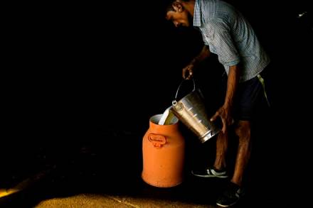 fake, fake food, counterfeit food, duplicate food, govt asks to carry out raid on shops, milk and its products, poison