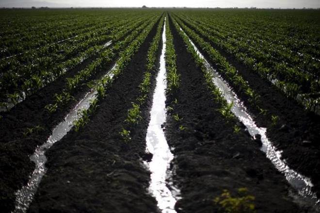 jain irrigation systems profits, Jain Irrigation Systems, sp & rating, sp & rating, S&P Global, S&P Global Ratings, Jain Irrigation stocks, Jain Irrigation shares, jain irrigation systems profits, Jain Irrigation Systems, sp & rating, sp & rating, S&P Global, S&P Global Ratings, Jain Irrigation stocks, Jain Irrigation shares,