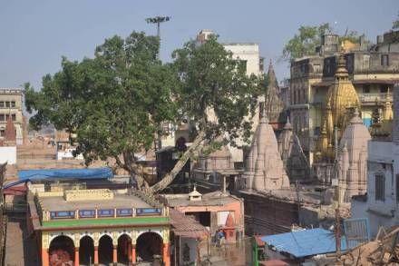 Kashi Vishwanath corridor, Kashi Vishwanath corridor tender, Kashi Vishwanath corridor global tender date, PM Natrendra Modi, Varanasi, Vishal Singh, Ghats of Benaras, Narendra Modi, Prime Minister Modi, Kashi Vishwanath Jyotirlinga temple, kashi Vishwanath temple, holy river Ganga Mahashivratri , Shravan Kashi Vishwanath Corridor Banaras, Manikarnika Ghat, Lalita Ghat , Kashi Vishwanath Jyotirlinga Temple, Kashi Vishwanath corridor in Varanasi