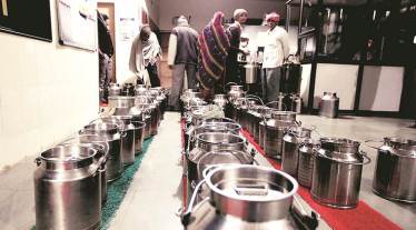 milk consumption, lactose intolerance, lactose intolerance treatment, lactose intolerance causes, lactose intolerance symptoms in adults, lactose intolerance test, lactose intolerance diet, lactose intolerance meaning, how long do lactose intolerance symptoms last