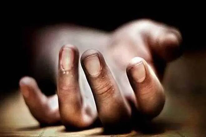 hyderabad news, woman's burnt body, hyderabad vet murder