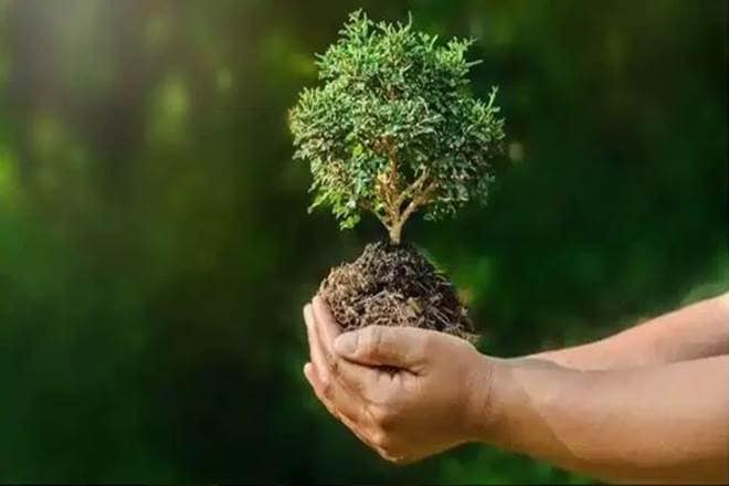 India, China, Japan, Singapore, South Korea, Asia, environmental sustainability ,climate change, biodiversity