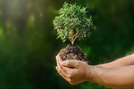 India, China, Japan, Singapore, South Korea, Asia, environmental sustainability ,climate change, biodiversity India, China, Japan, Singapore, South Korea, Asia, environmental sustainability ,climate change, biodiversity