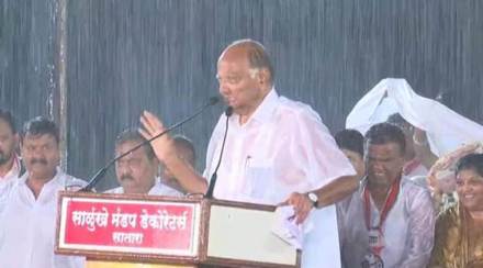 Sharad Pawar, NCP chief, Maharashtra assembly polls, Indira Gandhi, Narendra Modi, Maharashtra government, Devendra Fadnavis government