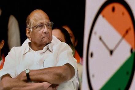 maharashtra govt, bjp, shiv sena, ncp, maharashtra results, ncp seats, bjp seats, shive sena seats, devednra fadnavis, sharad pawar, sharad pawar ncp
