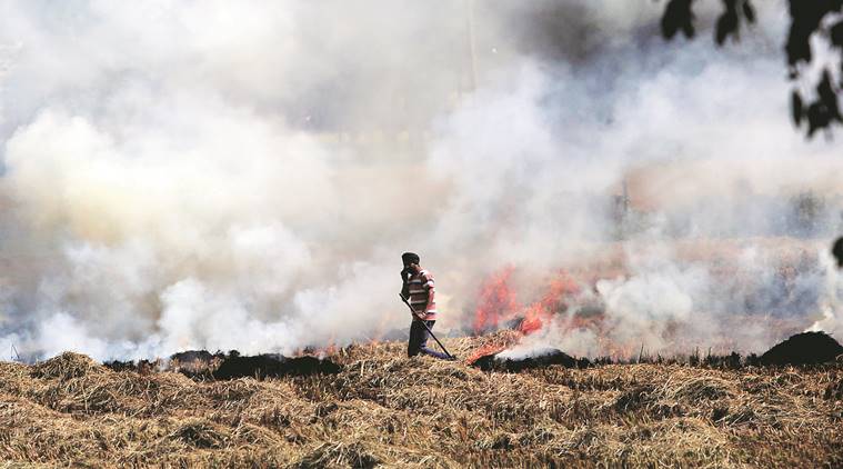 PM Modi,  agri ministry, Uttar Pradesh, Punjab, Haryana, farmer, stubble burning, delhi pollution 