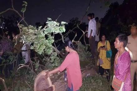 Earlier in the day, Maharashtra chief minister Uddhav Thackeray had announced a stay on work of the Colaba-Bandra-SEEPZ metro carshed in Aarey Colony in neighbouring Mumbai. (IE Photo/File)