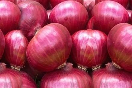 Nafed has been directed to supply imported onions across the country, the minister said.
