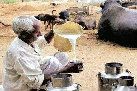 Most of the milk comes from rural areas, but unreliable and erratic electricity supply results in least 3% of the milk being wasted. Most of the milk comes from rural areas, but unreliable and erratic electricity supply results in least 3% of the milk being wasted.