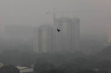 The AQI at Pusa, Bawana, Anand Vihar, Ashok Vihar, Mundka, Punjabi Bagh and ITO was between 490 and 500.