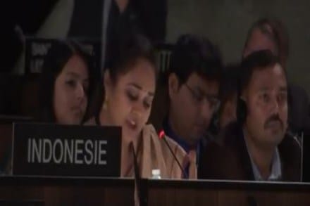 india,pakistan, unesco, ananya agarwal