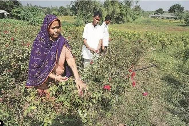 informal economy, unorganised sector, world bank, indian economy, growth, economic development, india's growth informal economy, unorganised sector, world bank, indian economy, growth, economic development, india's growth