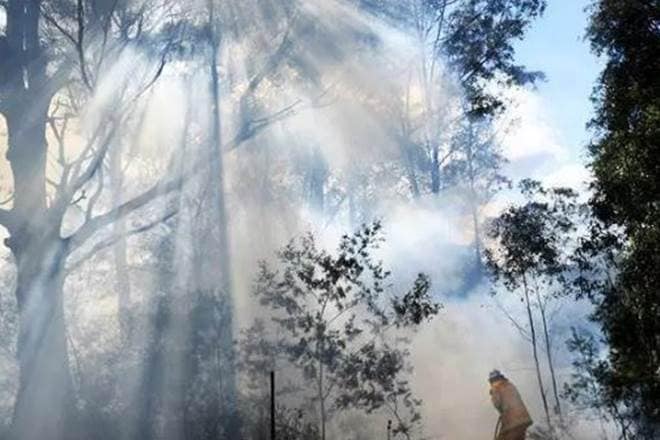Sydney air pollution,Sydney air quality,NSW Environment,Sydney’s North West,Air Quality Index(AQI),Wollemi National Park,emphysema,angina, asthma,Gabriele Branescu, Australian Bureau of Meteorology