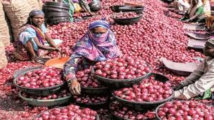 Retail onion prices, Onion crisis, Onion price in delhi NCR, APMC, onion wholesale prices, Lasalgaon, kharif plantation