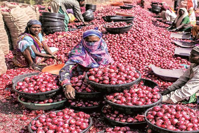 Retail onion prices, Onion crisis, Onion price in delhi NCR, APMC, onion wholesale prices, Lasalgaon, kharif plantation Retail onion prices, Onion crisis, Onion price in delhi NCR, APMC, onion wholesale prices, Lasalgaon, kharif plantation