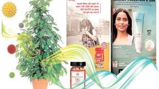 Air pollution, Anti-pollution, Amazon India, air purifier, air purifier sales, Dabur Chyawanprash, face masks, Gur Channa, air-purifying plants