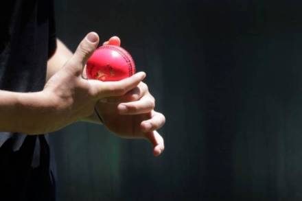 The Pink ball will be a talking point in the upcoming Test series between India and Bangladesh. (PC: Reuters)