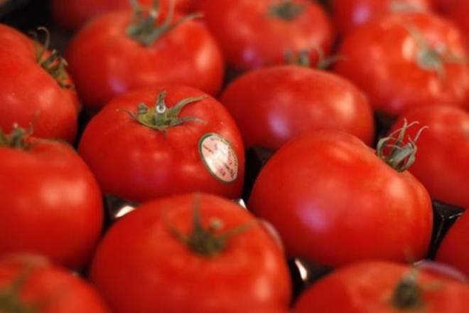 Earlier this month, the official retail rate of tomato was Rs 117 per kg. The federal government is to be blamed for the price hike as it has restricted import to a few people instead of allowing a free import by any trader, the report said.