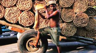 coir, coir industry, coir sector