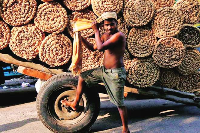 coir, coir industry, coir sector coir, coir industry, coir sector