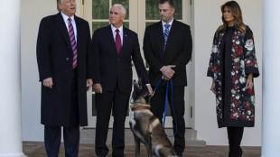 us, president donald trump, donald trump