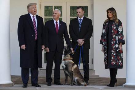 us, president donald trump, donald trump