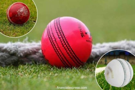 pink ball, pink ball sg, pink ball vs red ball, pink ball cost, india vs bangladesh pink ball test, pink ball vs red ball, lacquer, lacquer meaning, virat kohli, eden gardens, pink ball, pink ball sg, pink ball vs red ball, pink ball cost, india vs bangladesh pink ball test, pink ball vs red ball, lacquer, lacquer meaning, virat kohli, eden gardens,
