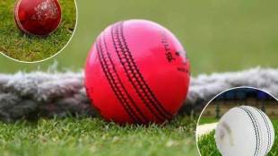 pink ball, pink ball sg, pink ball vs red ball, pink ball cost, india vs bangladesh pink ball test, pink ball vs red ball, lacquer, lacquer meaning, virat kohli, eden gardens,