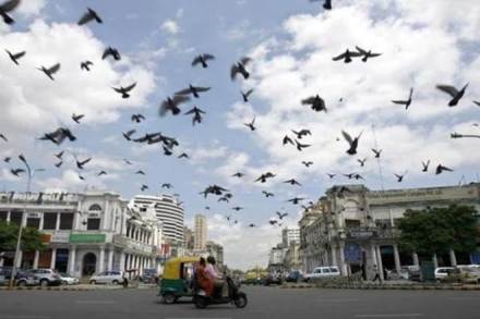 New Delhi saw a 4.4 per cent rise in weighted average capital value of prime residential properties to Rs 33,511 per sq ft in the third quarter of 2019. (Reuters) New Delhi saw a 4.4 per cent rise in weighted average capital value of prime residential properties to Rs 33,511 per sq ft in the third quarter of 2019. (Reuters)