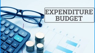 expenditure budget example, expenditure budget wikipedia, expenditure budget meaning