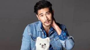 Taiwanese-Canadian model,Godfrey Gao, JetStar Entertainment,Chase Me,heart attack,The Mortal Instruments: City of Bones,Louis Vuitton
