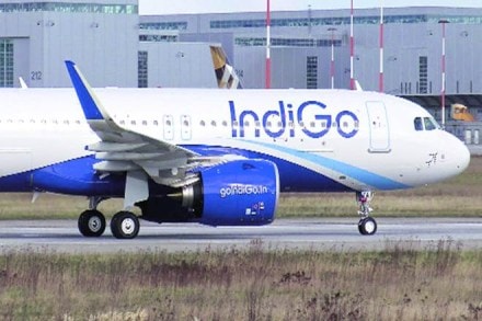 indigo, indigo airlines