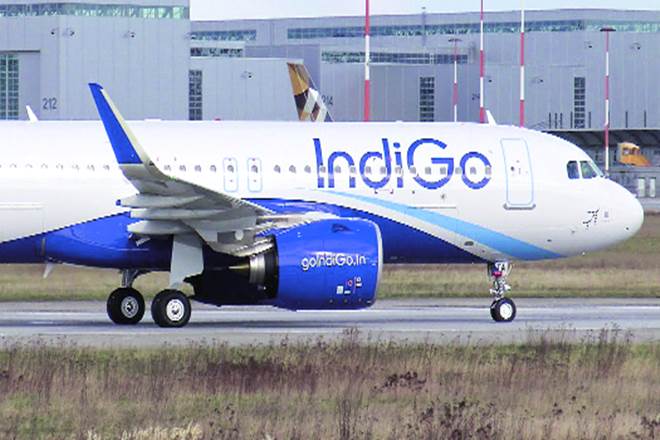 indigo, indigo airlines indigo, indigo airlines