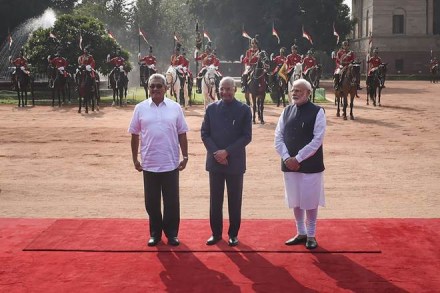 gotabaya rajapaksa india, gotabaya rajapaksa, gotabaya rajapaksa in india, gotabaya rajapaksa party name, gotabaya rajapaksa news, gotabaya sri lanka gotabaya rajapaksa india, gotabaya rajapaksa, gotabaya rajapaksa in india, gotabaya rajapaksa party name, gotabaya rajapaksa news, gotabaya sri lanka