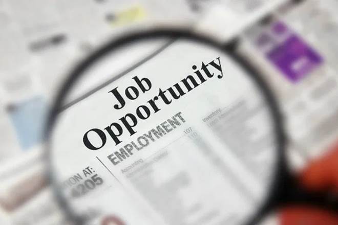 govt jobs, government jobs, job alert, job news, ssc jobs