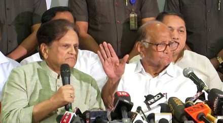 sc verdict on maharashtra, maharashtra verdict, sc on maharashtra, supreme court maharashtra, maharashtra government formation, maharashtra election, ajit pawar, sharad pawar, NCP