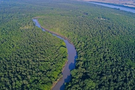 odisha, odisha tourism, eco tourism, eco tourism in odisha, odisha widlife, odisha widlife sanctuary, Home-Stay policy odisha