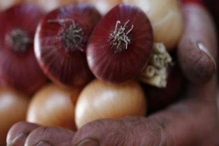 onion price in delhi, onion price, onion price in delhi today, onion price in delhi mandi, onion price in delhi 2019, onion price today, onion price rise