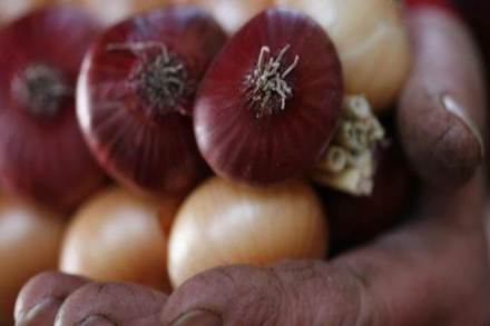 onion price in delhi, onion price, onion price in delhi today, onion price in delhi mandi, onion price in delhi 2019, onion price today, onion price rise onion price in delhi, onion price, onion price in delhi today, onion price in delhi mandi, onion price in delhi 2019, onion price today, onion price rise