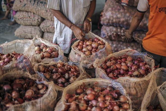 onion price in delhi, onion price today, onion price rise, onion price rise news, onion price increase reason, onion price increase in india