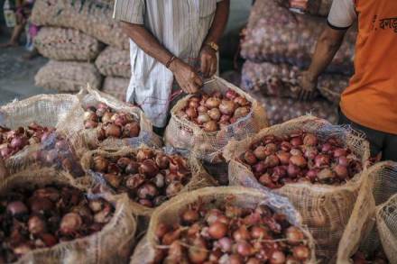 onion price in delhi, onion price today, onion price rise, onion price rise news, onion price increase reason, onion price increase in india
