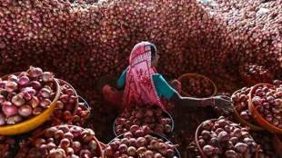 onion imports, onion price in india, onion price today, onion price hike, onion price rise