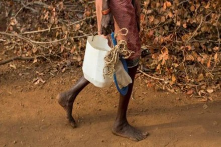 open defecation, defecating in open, maharashtra open defecation open defecation, defecating in open, maharashtra open defecation