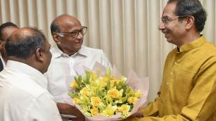 maharashtra, maharashtra government formation