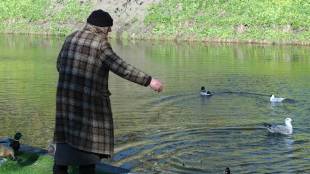 Post Office savings schemes, SBI bank, state bank of India, ICICI Bank, Post Office Savings Accounts, POSA, Post Office Time Deposits, bank fixed deposits, bank FDs, Recurring Deposits, RD, Monthly Income Schemes, MIS, Senior Citizen Savings Schemes, FD interest rates, investments, senior citizens, senior citizen schemes, Post Office deposits, Post Office Senior Citizen Savings Scheme, SCSS, fixed deposits, FDs, FD rates, rate of return, interest rates, mutual funds, MFs, equity funds, debt funds, indexation benefits, LTCG, tax benefits,