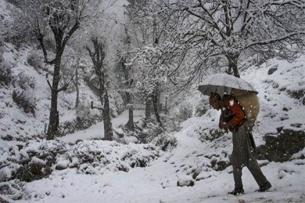 Kashmir weather, Kashmir temperature, Kashmir snowfall, Kashmir snow, Kashmir snow weather, jammu and kashmir news Kashmir weather, Kashmir temperature, Kashmir snowfall, Kashmir snow, Kashmir snow weather, jammu and kashmir news