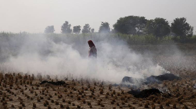 Stubble burning, Uttar Pradesh, Punjab, Haryana, SAFAR, air quality, Delhi, NCR, delhi air pollution 