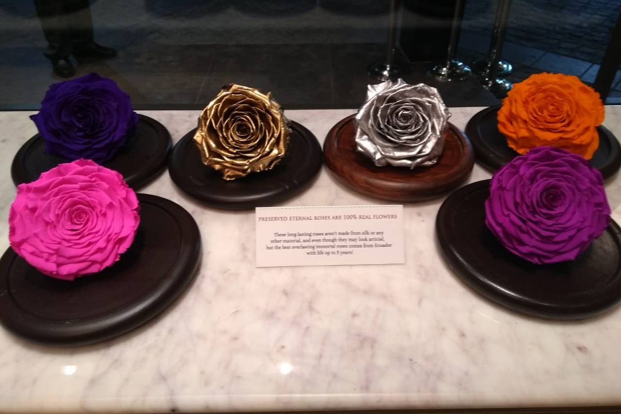 immortal roses, immortal rose flowers, Beautiful rose flowers, rose flowers, roses, flowers, Embassy of Ecuador, Ecuador, India, India Ecuador relation, gift items
