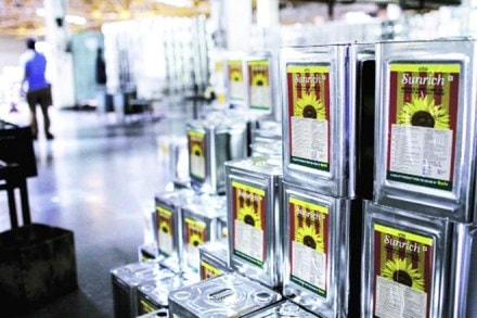 Supreme Court, Baba Ramdev, Patanjali Ayurveda, Ruchi Soya, ruchi soya news, ruchi soya patanjali, ruchi soya latest news, ruchi soya share Supreme Court, Baba Ramdev, Patanjali Ayurveda, Ruchi Soya, ruchi soya news, ruchi soya patanjali, ruchi soya latest news, ruchi soya share